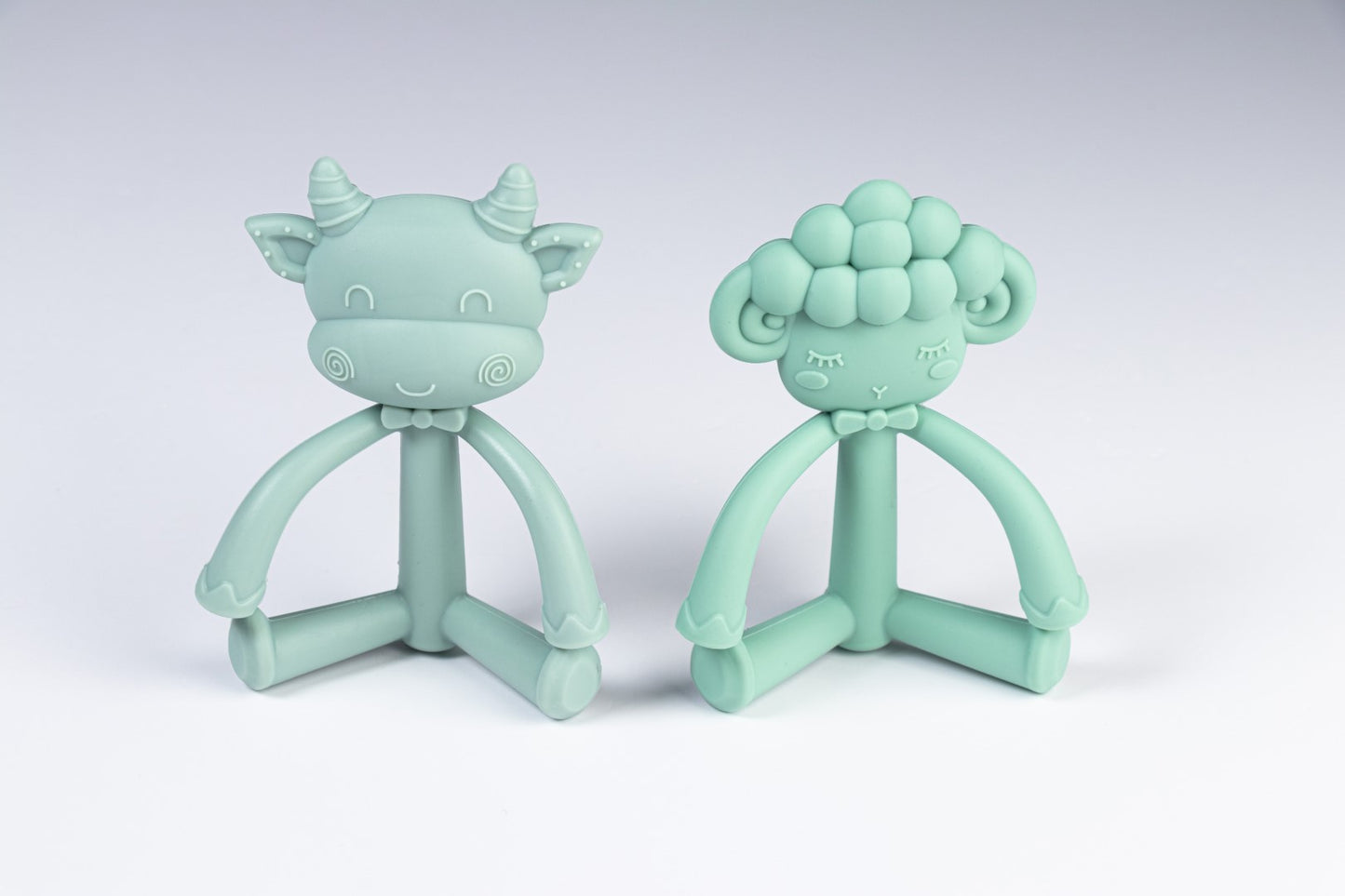 Chil Teether Set